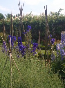 XPeria janvier à juin15 030