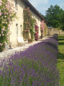 XPeria janvier à juin15 049