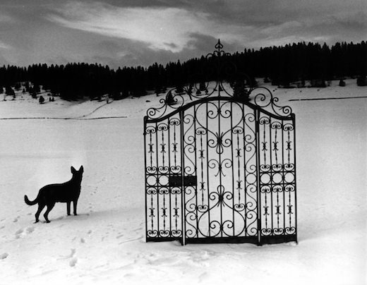 Expo Neiges La belle Juliette2 - fev16